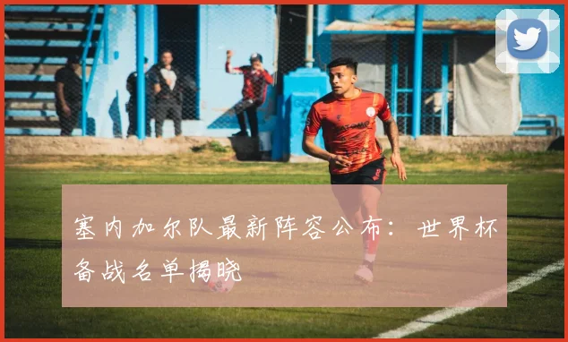 塞内加尔队最新阵容公布:世界杯备战名单揭晓