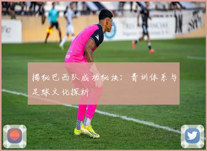 揭秘巴西队成功秘诀：青训体系与足球文化探析