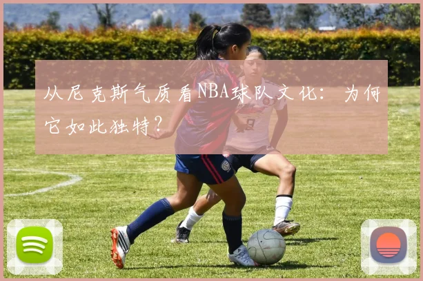 从尼克斯气质看NBA球队文化:为何它如此独特?